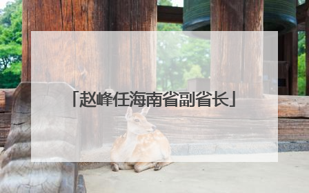 赵峰任海南省副省长