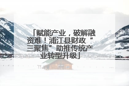 赋能产业，破解融资难！浦江县财政“三聚焦”助推传统产业转型升级