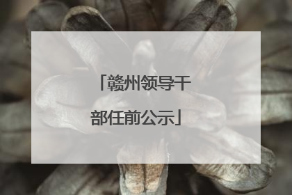 赣州领导干部任前公示