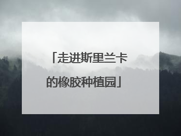 走进斯里兰卡的橡胶种植园