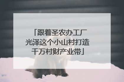 跟着圣农办工厂 光泽这个小山村打造千万村财产业带