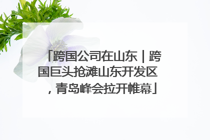 跨国公司在山东｜跨国巨头抢滩山东开发区，青岛峰会拉开帷幕