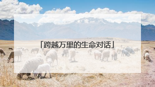 跨越万里的生命对话