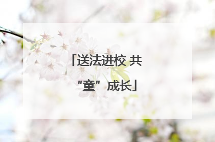 送法进校 共“童”成长