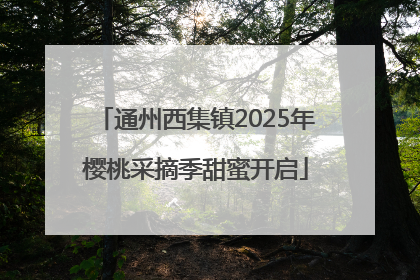 通州西集镇2025年樱桃采摘季甜蜜开启