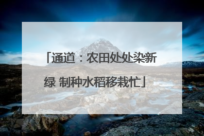 通道：农田处处染新绿 制种水稻移栽忙