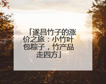 遂昌竹子的涨价之旅：小竹叶包粽子，竹产品走四方
