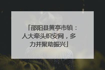 邵阳县黄亭市镇：人大牵头织安网，多力并聚助振兴