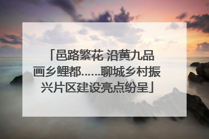 邑路繁花 沿黄九品 画乡鲤都……聊城乡村振兴片区建设亮点纷呈
