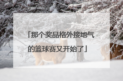 那个奖品格外接地气的篮球赛又开始了