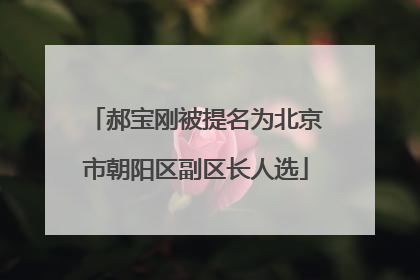 郝宝刚被提名为北京市朝阳区副区长人选