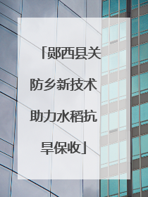 郧西县关防乡新技术助力水稻抗旱保收