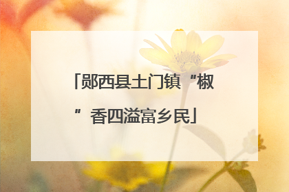 郧西县土门镇“椒”香四溢富乡民