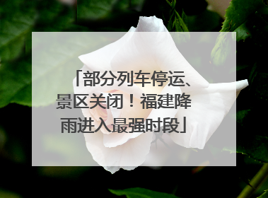 部分列车停运、景区关闭！福建降雨进入最强时段