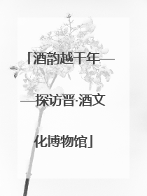 酒韵越千年——探访晋·酒文化博物馆