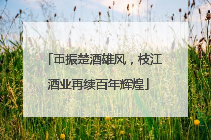 重振楚酒雄风，枝江酒业再续百年辉煌