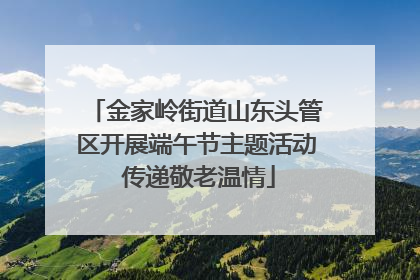 金家岭街道山东头管区开展端午节主题活动 传递敬老温情