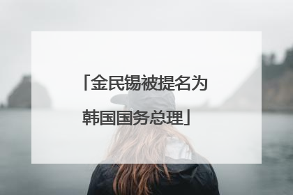 金民锡被提名为韩国国务总理