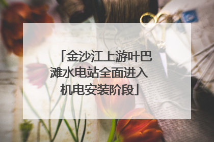 金沙江上游叶巴滩水电站全面进入机电安装阶段
