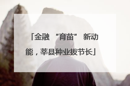 金融 “育苗” 新动能，莘县种业拔节长