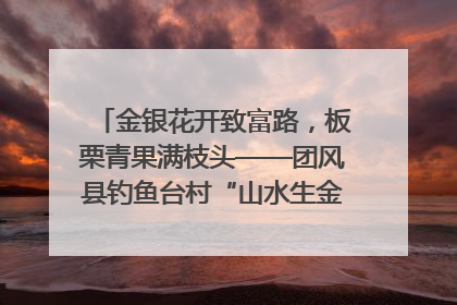 金银花开致富路，板栗青果满枝头——团风县钓鱼台村“山水生金”谱写共富新篇章