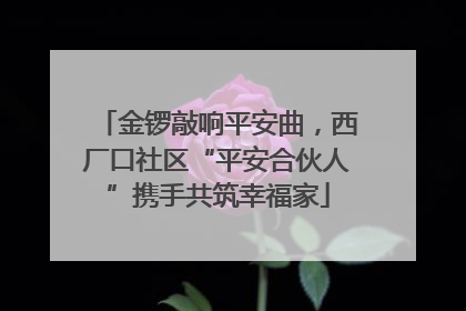 金锣敲响平安曲，西厂口社区“平安合伙人”携手共筑幸福家