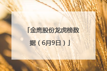 金鹰股份龙虎榜数据（6月9日）
