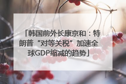 韩国前外长康京和：特朗普“对等关税”加速全球GDP缩减的趋势
