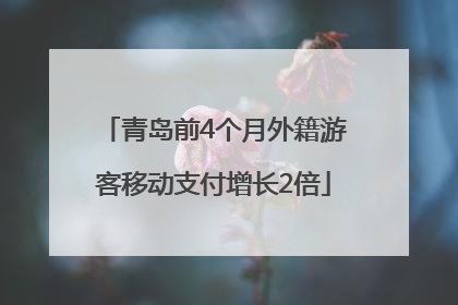 青岛前4个月外籍游客移动支付增长2倍