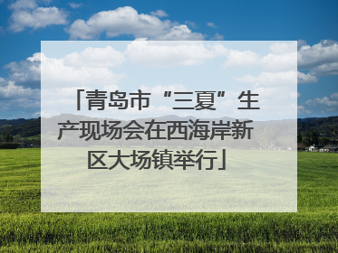 青岛市“三夏”生产现场会在西海岸新区大场镇举行