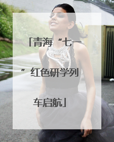 青海“七一”红色研学列车启航