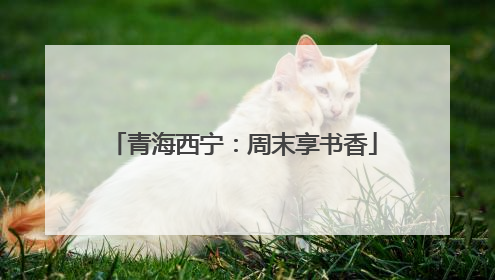 青海西宁：周末享书香