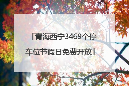青海西宁3469个停车位节假日免费开放