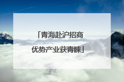 青海赴沪招商 优势产业获青睐