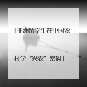非洲留学生在中国农村学“兴农”密码