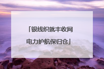 银线织就丰收网 电力护航保归仓