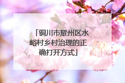 铜川市耀州区水峪村乡村治理的正确打开方式