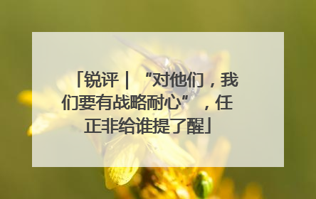 锐评｜“对他们，我们要有战略耐心”，任正非给谁提了醒