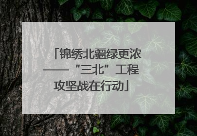 锦绣北疆绿更浓——“三北”工程攻坚战在行动