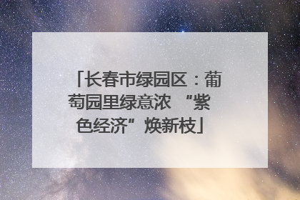 长春市绿园区：葡萄园里绿意浓 “紫色经济”焕新枝