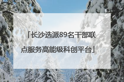 长沙选派89名干部联点服务高能级科创平台