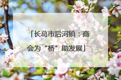 长葛市后河镇：商会为“桥”助发展