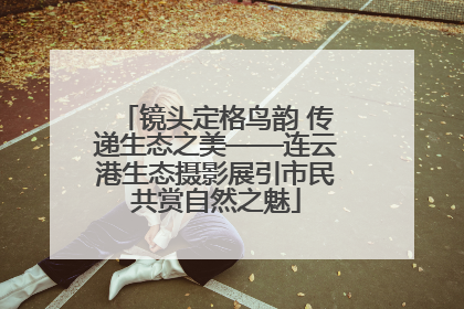 镜头定格鸟韵 传递生态之美——连云港生态摄影展引市民共赏自然之魅