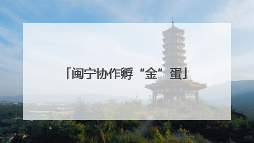 闽宁协作孵“金”蛋