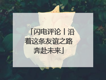 闪电评论丨沿着这条友谊之路奔赴未来