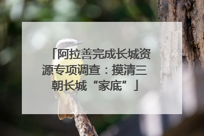 阿拉善完成长城资源专项调查：摸清三朝长城“家底”