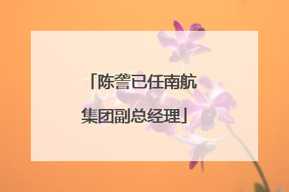 陈詟已任南航集团副总经理