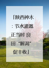 陕西神木：节水灌溉正当时 良田“解渴”促丰收