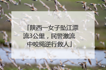 陕西一女子坠江漂流3公里，民警激流中咬绳逆行救人