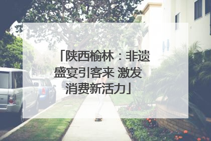 陕西榆林：非遗盛宴引客来 激发消费新活力